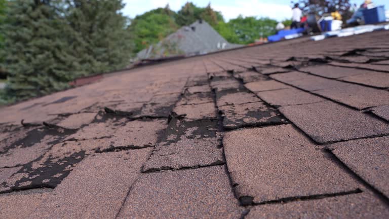 Best Gutter Installation and Repair  in Adamstown, PA