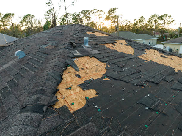 Best Asphalt Shingles Roofing  in Adamstown, PA
