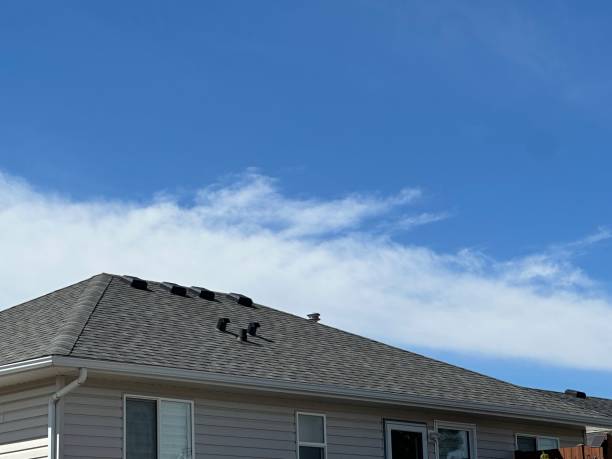 Best Sheet Metal Roofing  in Adamstown, PA