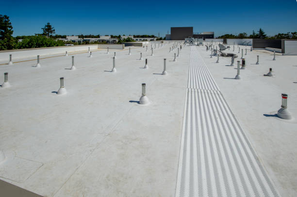 Best Roof Leak Repair  in Adamstown, PA